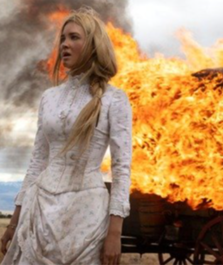 Taylor Sheridan Shows